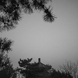 《使命召唤：战区》太平洋战场发布新预告 明日上线